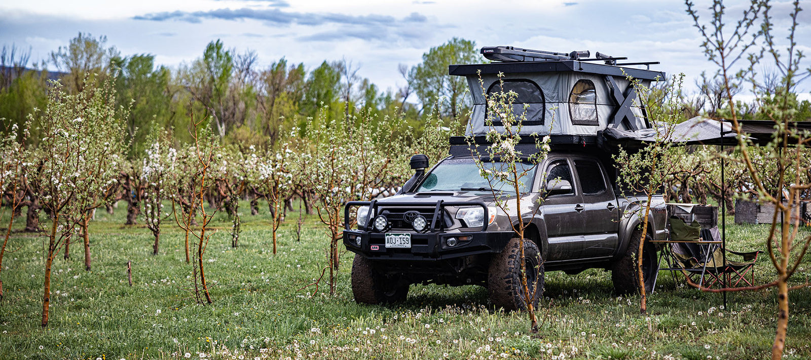 Top 10 Highlights from HESTIVAL 2024